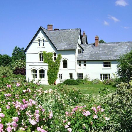 The Forest Country House B&B Ньютаун Екстер'єр фото
